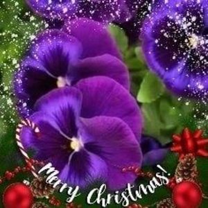 Meet your Posher, Richard